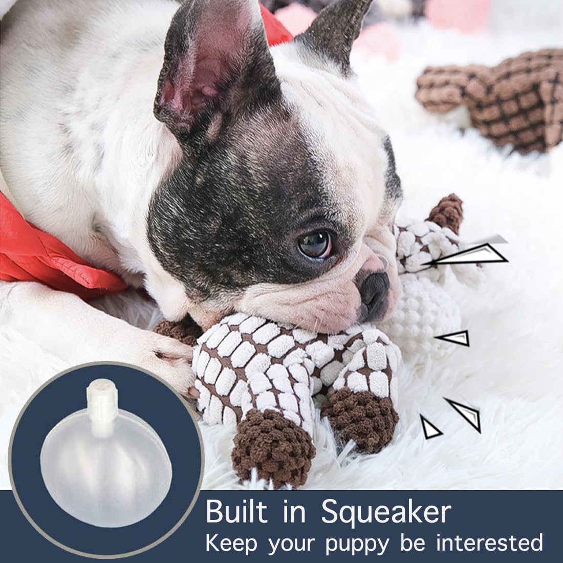 3 Pack de jouets de chien Squeaky