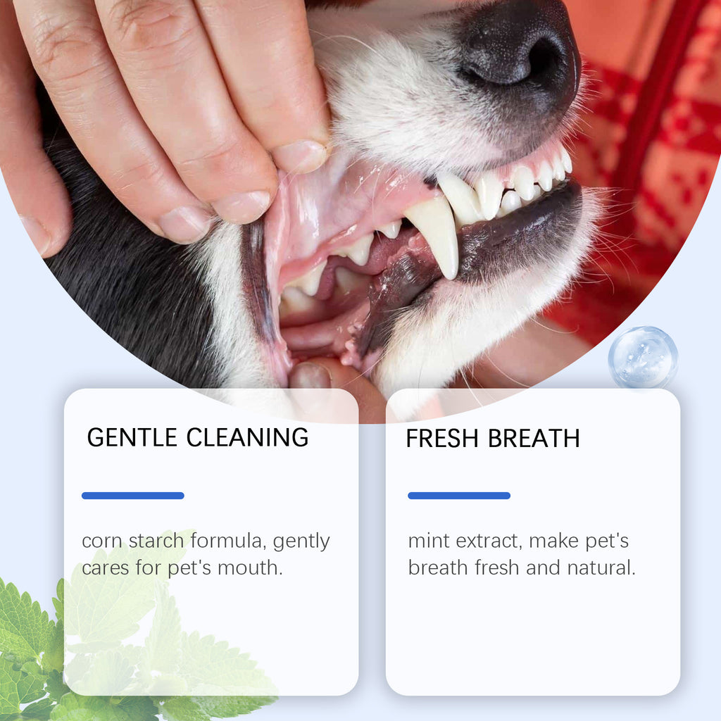 Poudre de nettoyage de dents de chat et de chien