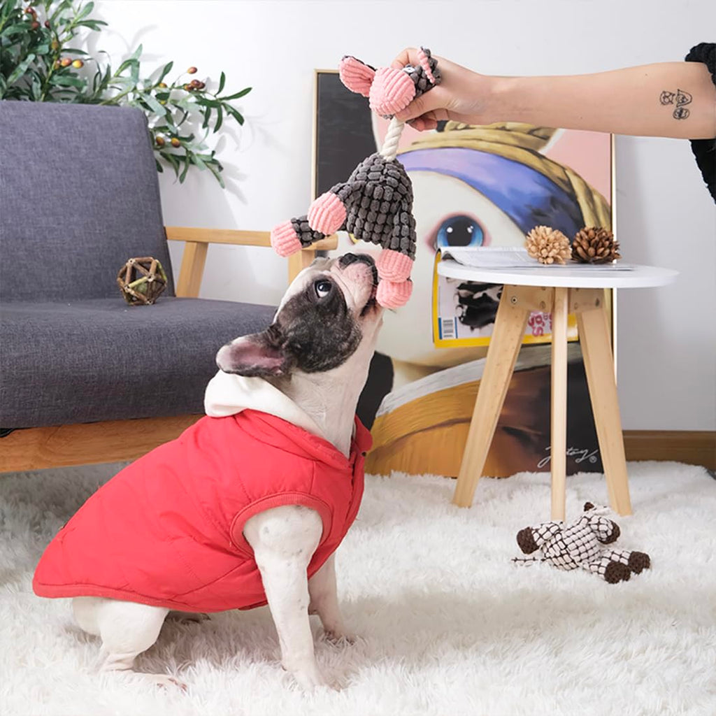 3 Pack de jouets de chien Squeaky