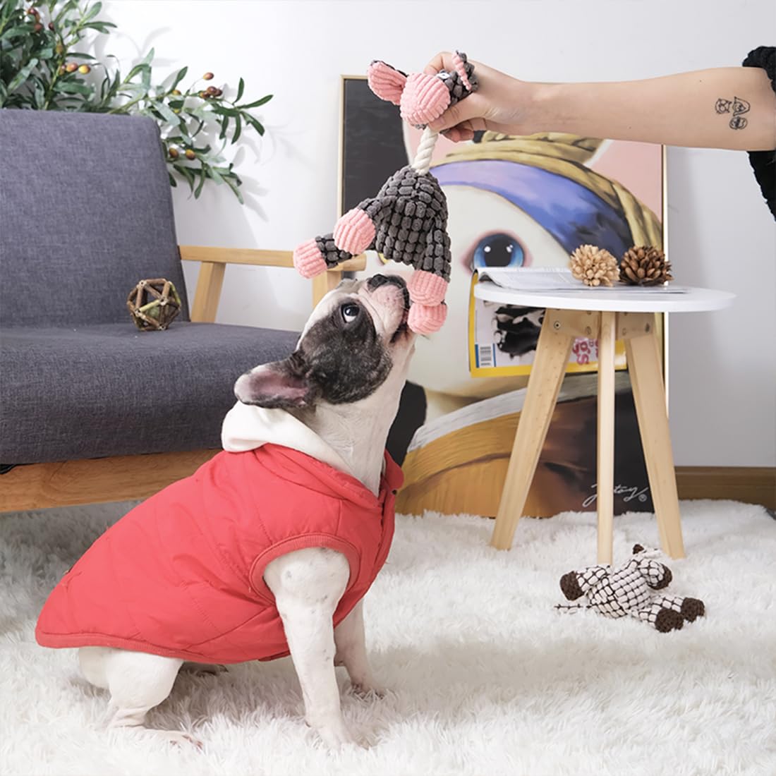 3 Pack de jouets de chien Squeaky