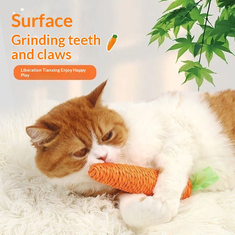 Pet Accessories Cat Toy Gift Set