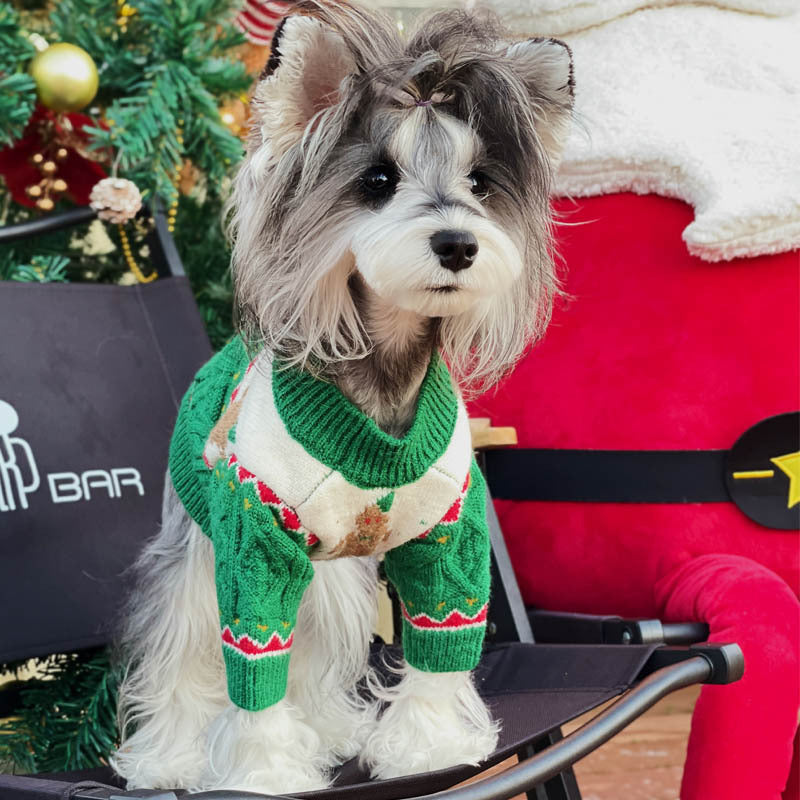 Chapeau pour animaux de compagnie de style Noël