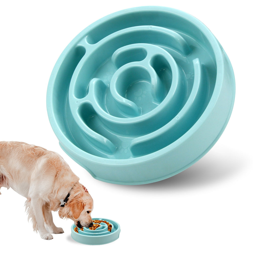 Bol de chien d'alimentation lente