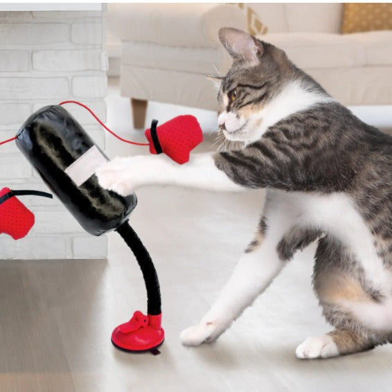 Portable Cat Punching Bag Toy Interactive Indoor Cats Kitten Toy with Gants Cat Toy for K