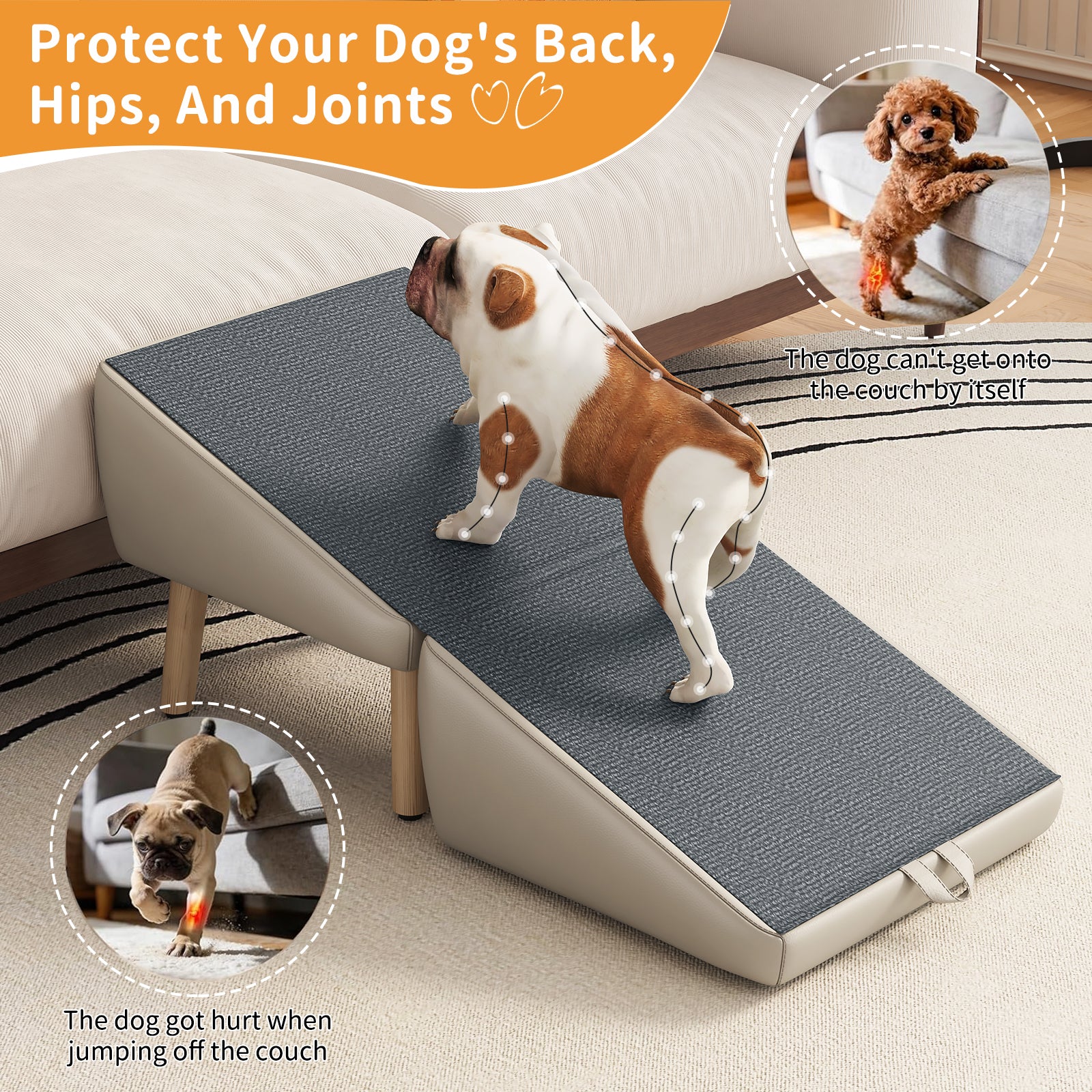 Étables pour chiens pour petits chiens et chats