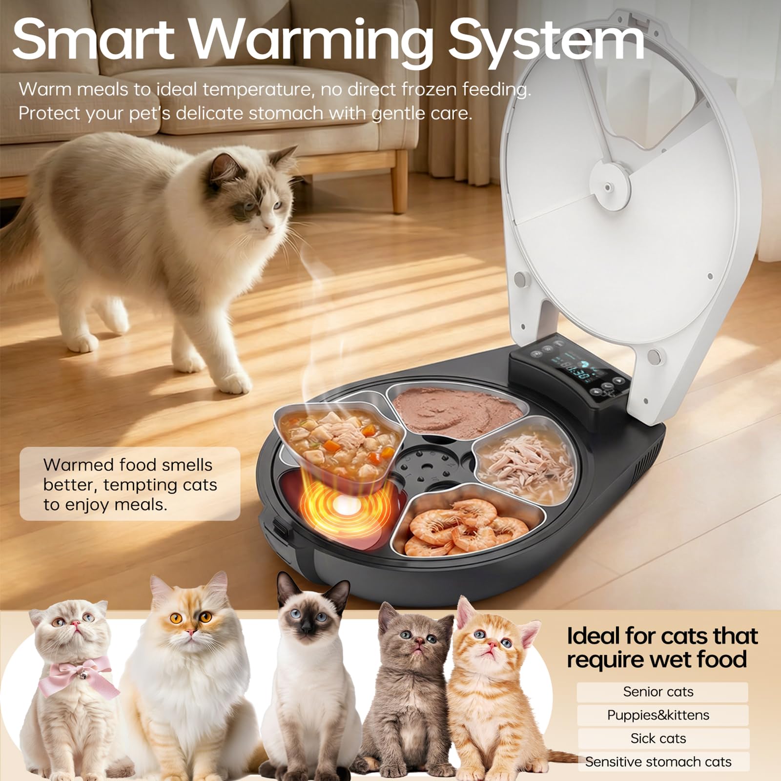 Alimentaire de chat humide automatique