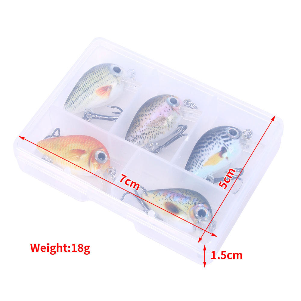 5 couleurs Lure Set 1,5G Mini Rock Lure Fishing Lure Box