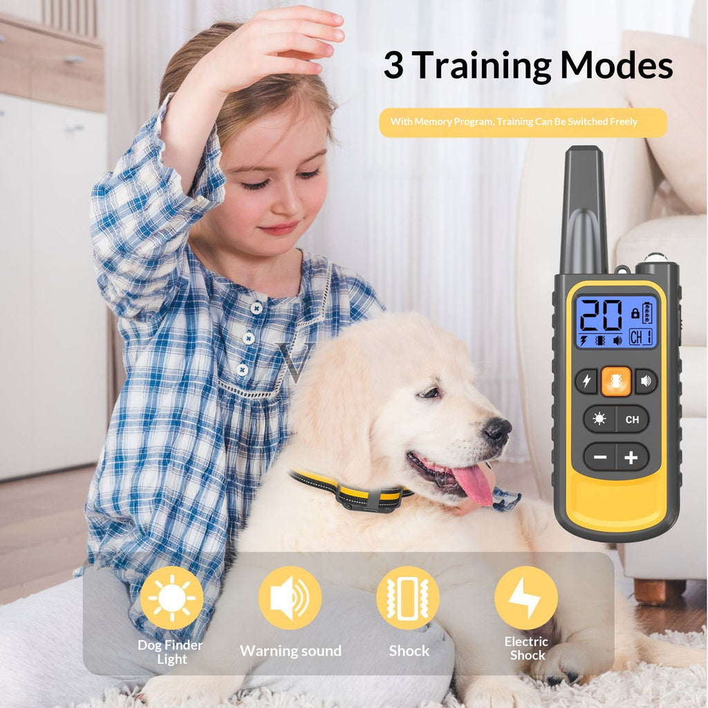 Dispositif d'entraînement à distance pour chiens
