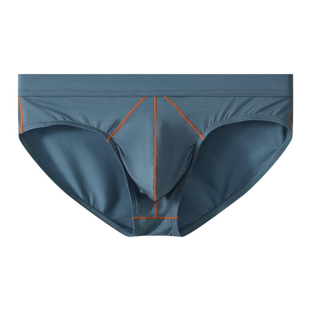 Hommes Sexy Low-rise Slips en couleur solide