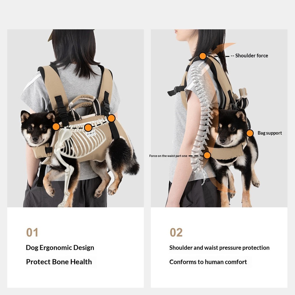 Carrier bag for small to medium-sized dogs