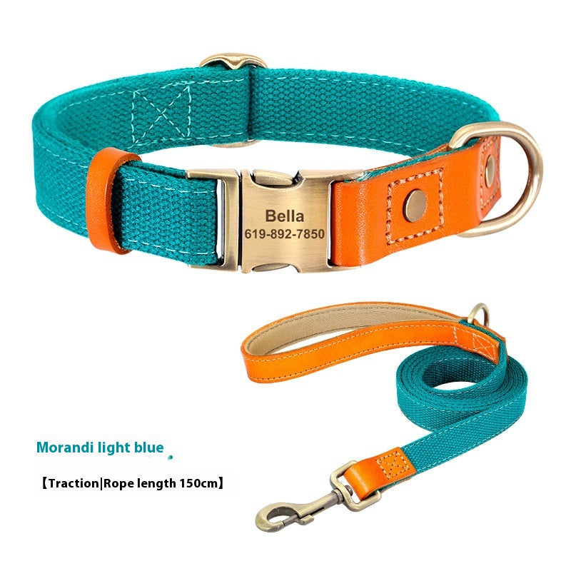 Rope de traction du collier de petit chien