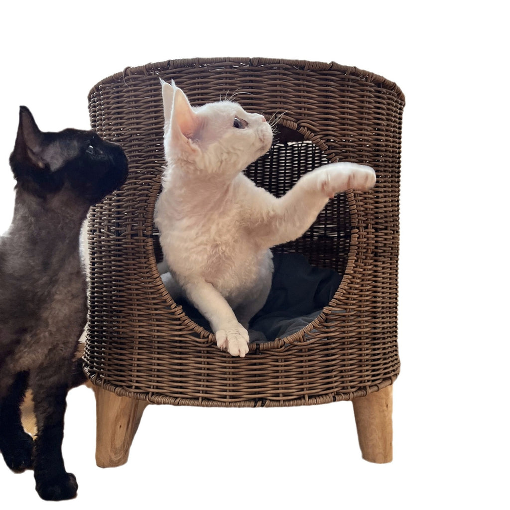 Lit de chat chaud et semi-fermé pour l'hiver