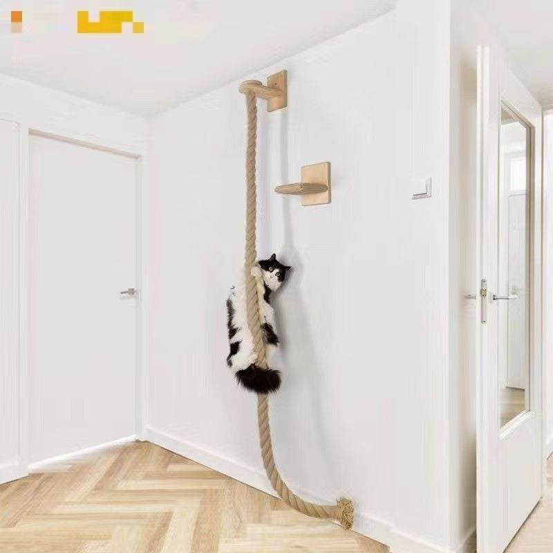 Jeu d'escalade plate-forme de saut d'obstacles muraux Cat Climber