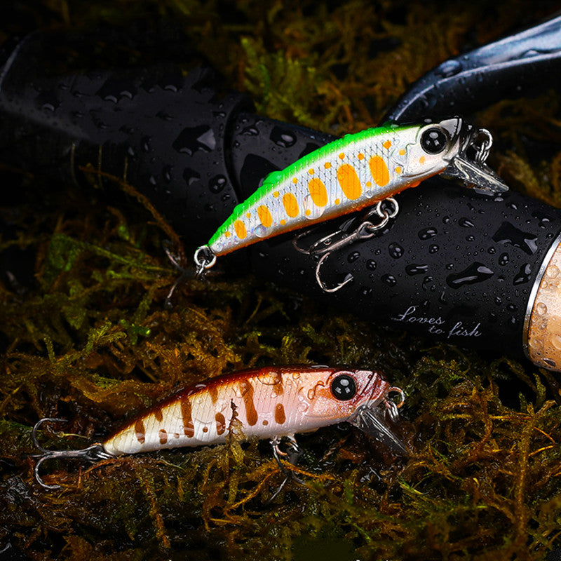 Long cast submergé Minollua Bait 46mm