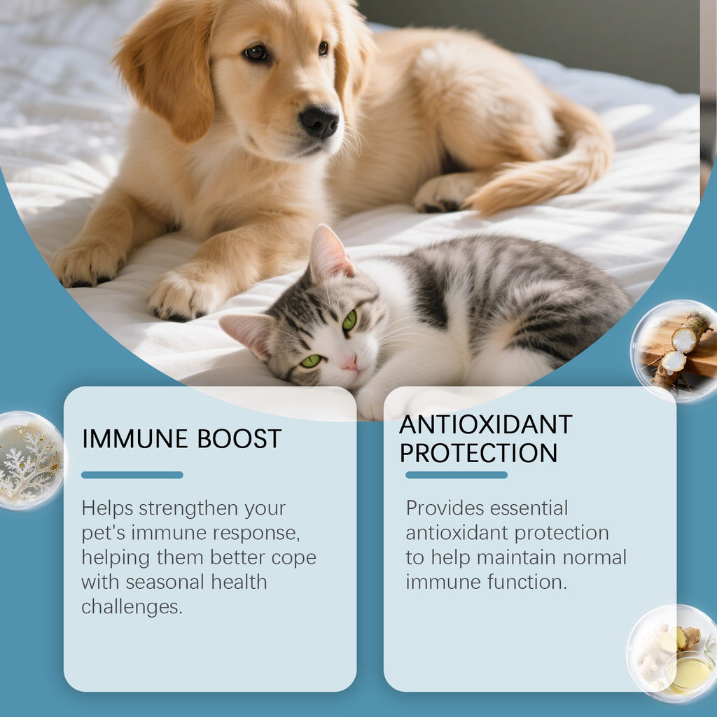 Kriath soin des herbes pour animaux de compagnie liquide oral est une goutte douce et nourrissante qui réconforte les chats et