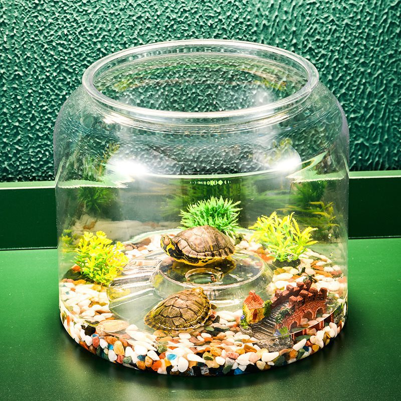 Transparent plastique bureau écologique aménagement paysager alimentation réservoir de poisson