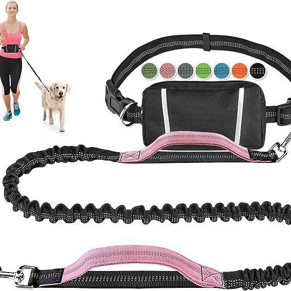 Ensemble de laisses de course de nuit pour chiens réfléchissants