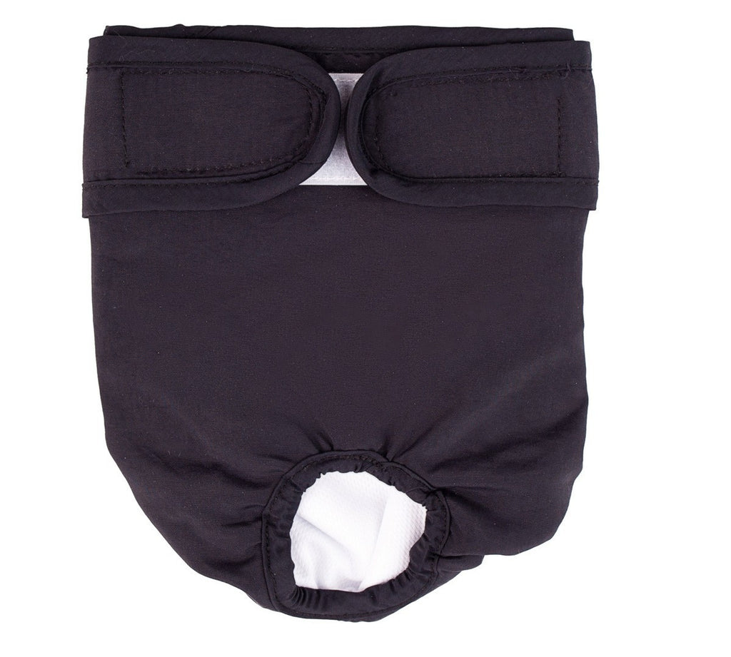 Ceinture physiologique pour chien grand chien