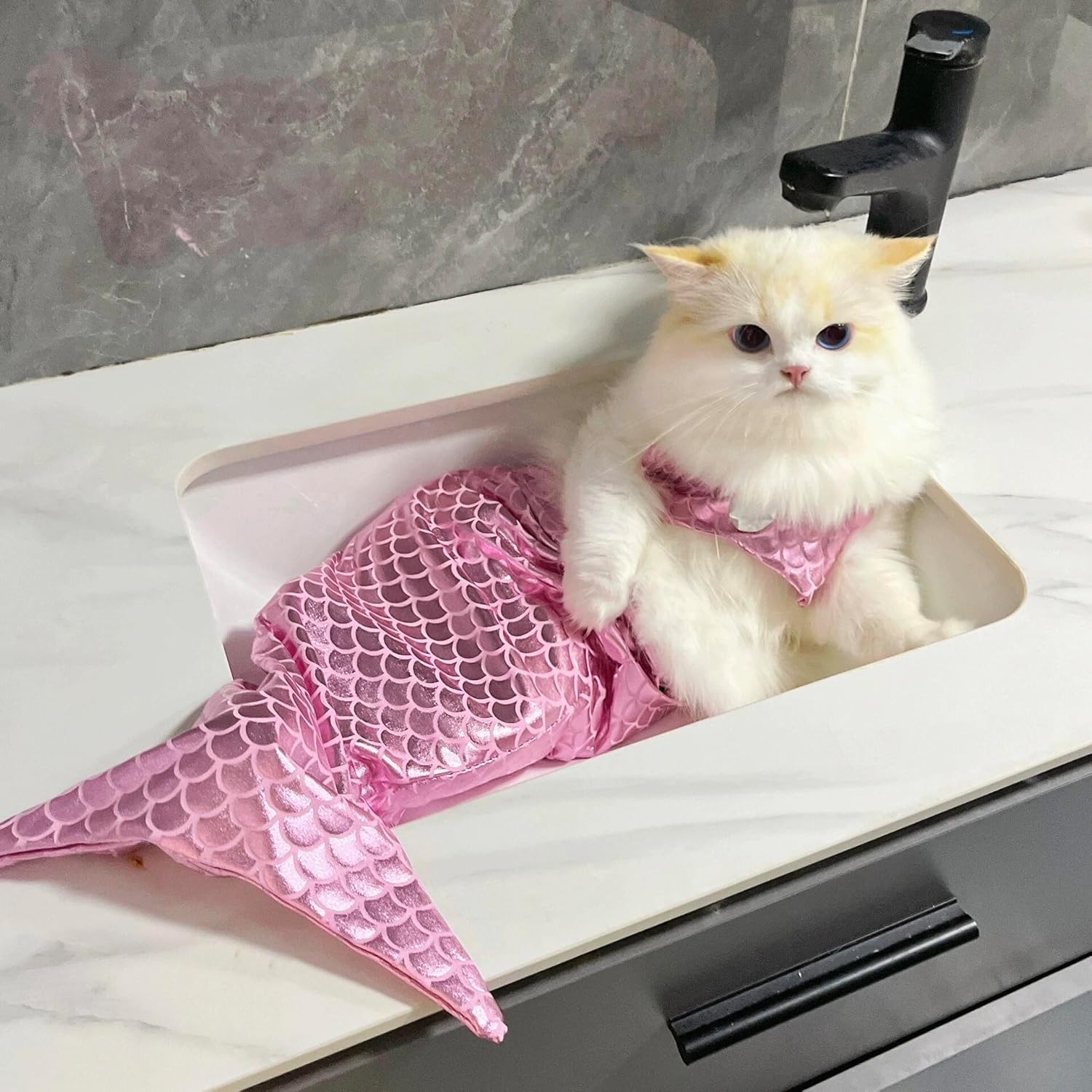 Costume de sirène de chat Costumes créatifs de chat et de chien Costume drôle de sirène de chat Costume de sirène de chat Fi