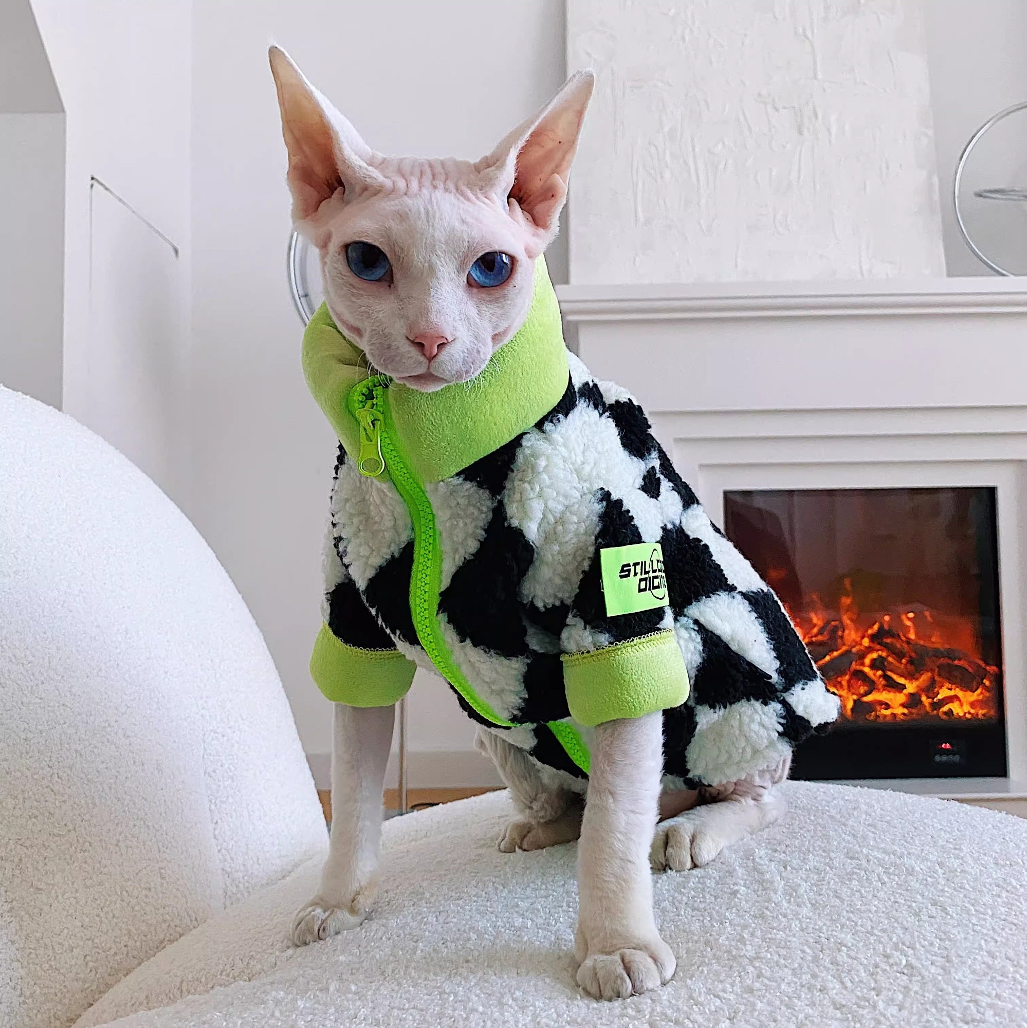 Chat sans cheveux Sphynx Devon hiver chaud agneaux lignés polaires wool Ultra-Tick Manteau