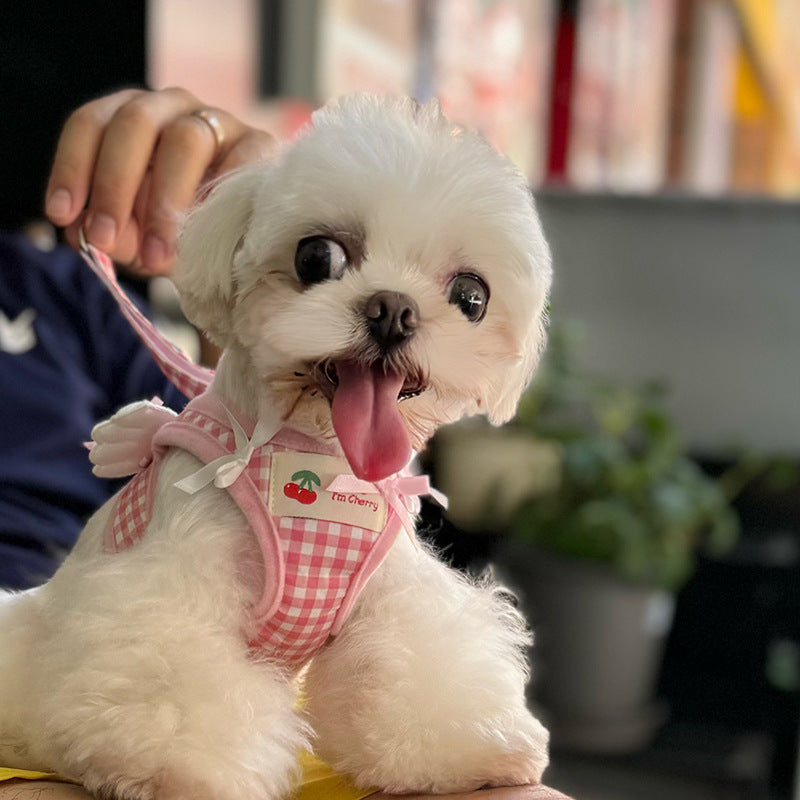 Corde de maintien de la main arrière de l'animal Petit chien