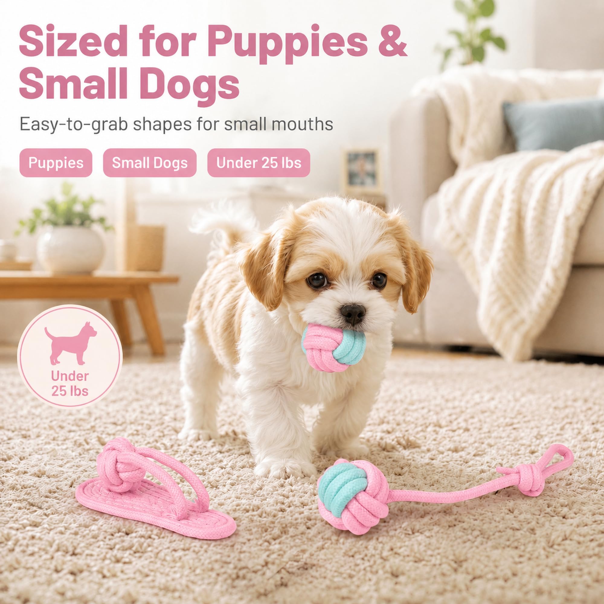 Jouets à corde pour chiens pour chiots et petits chiens