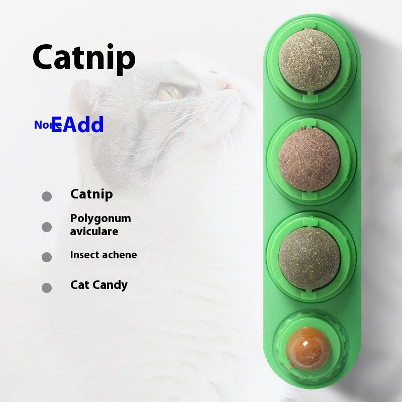 Tasses de jouet de chat Molar Longue durée Pet Supplies