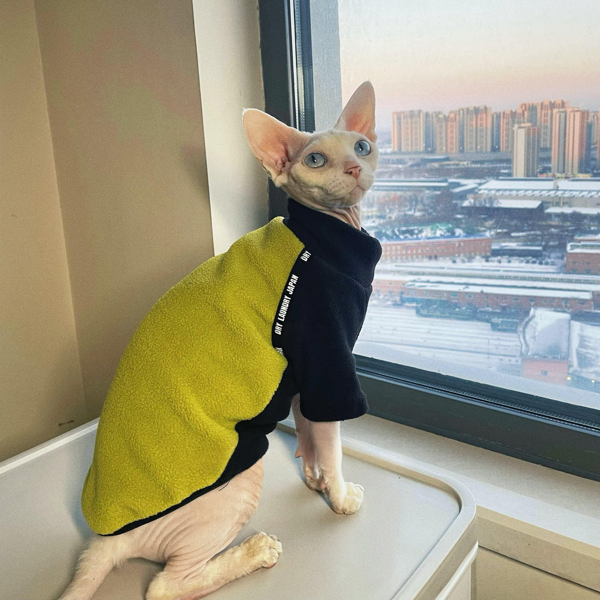 Épaisseur polaire polaire chaude manches longues vêtements pour chats sans cheveux