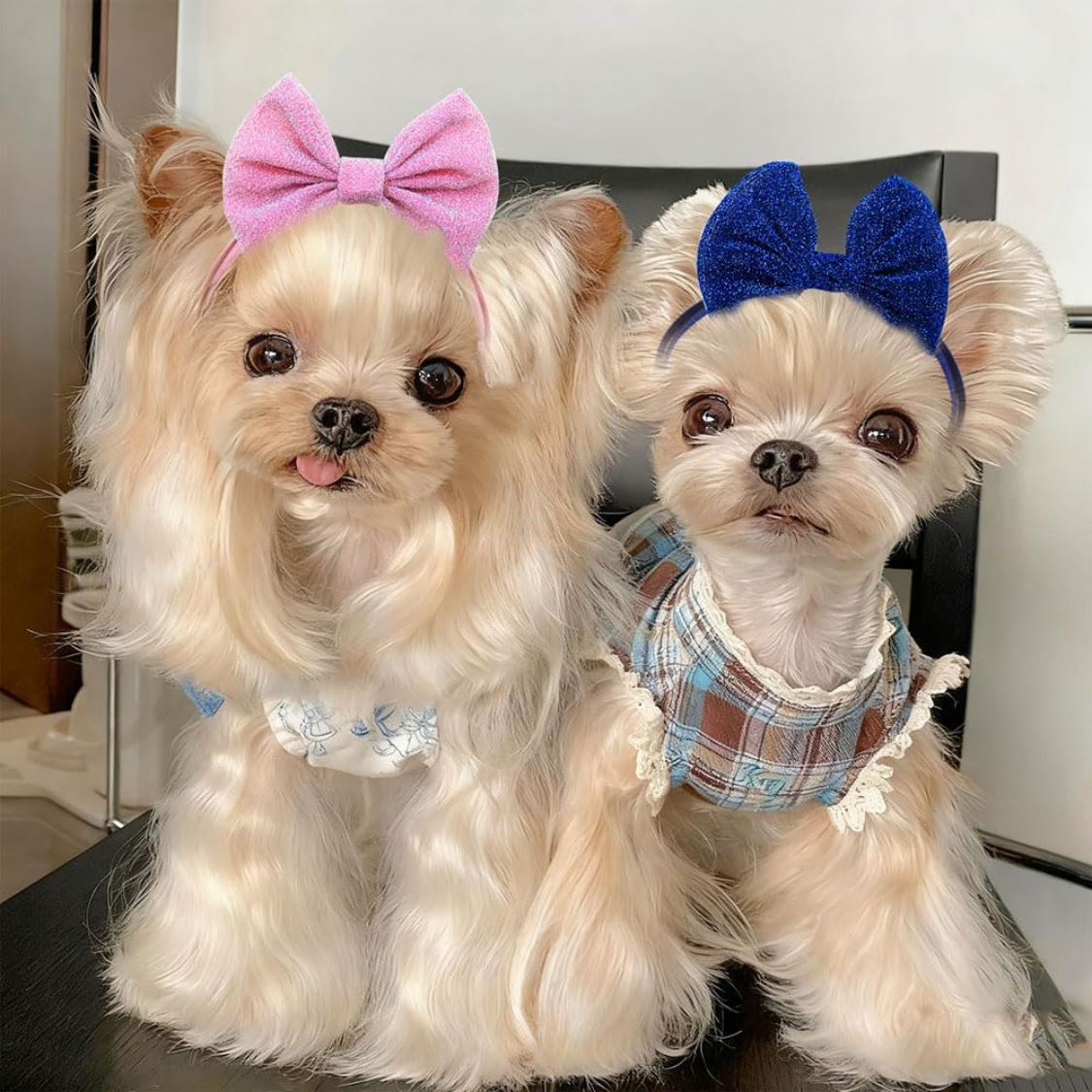 Bande de tête 4Pcs Cheveux de chien Bow pour petits chiens moyens