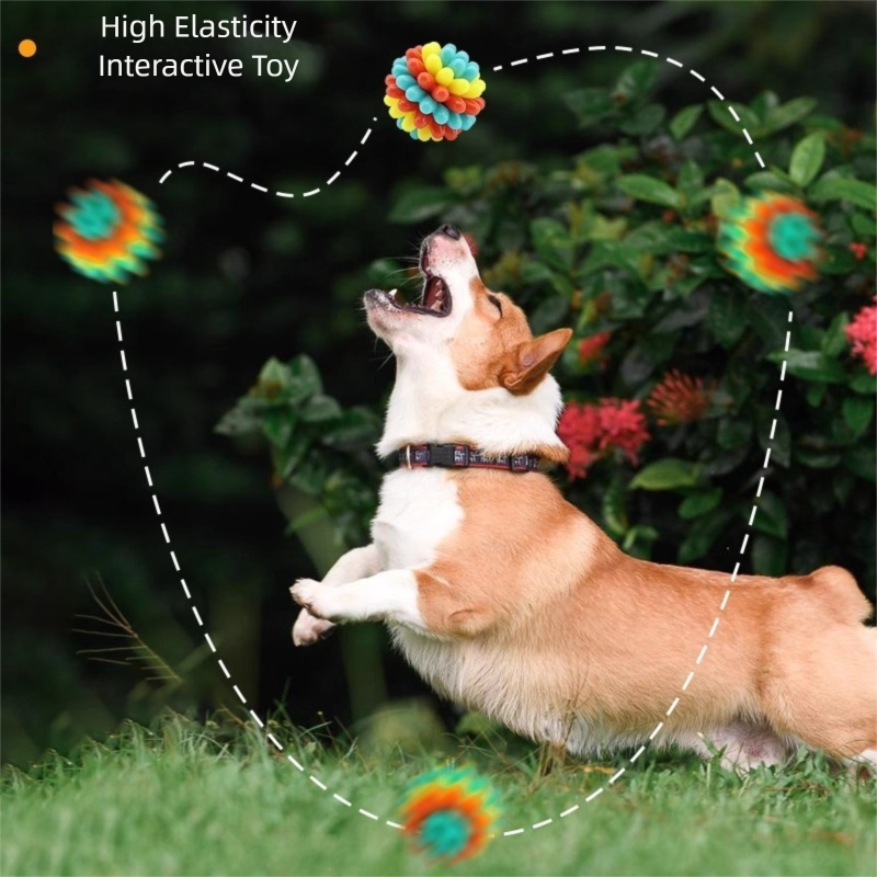 Balles de jouets de dents colorées pour animaux de compagnie