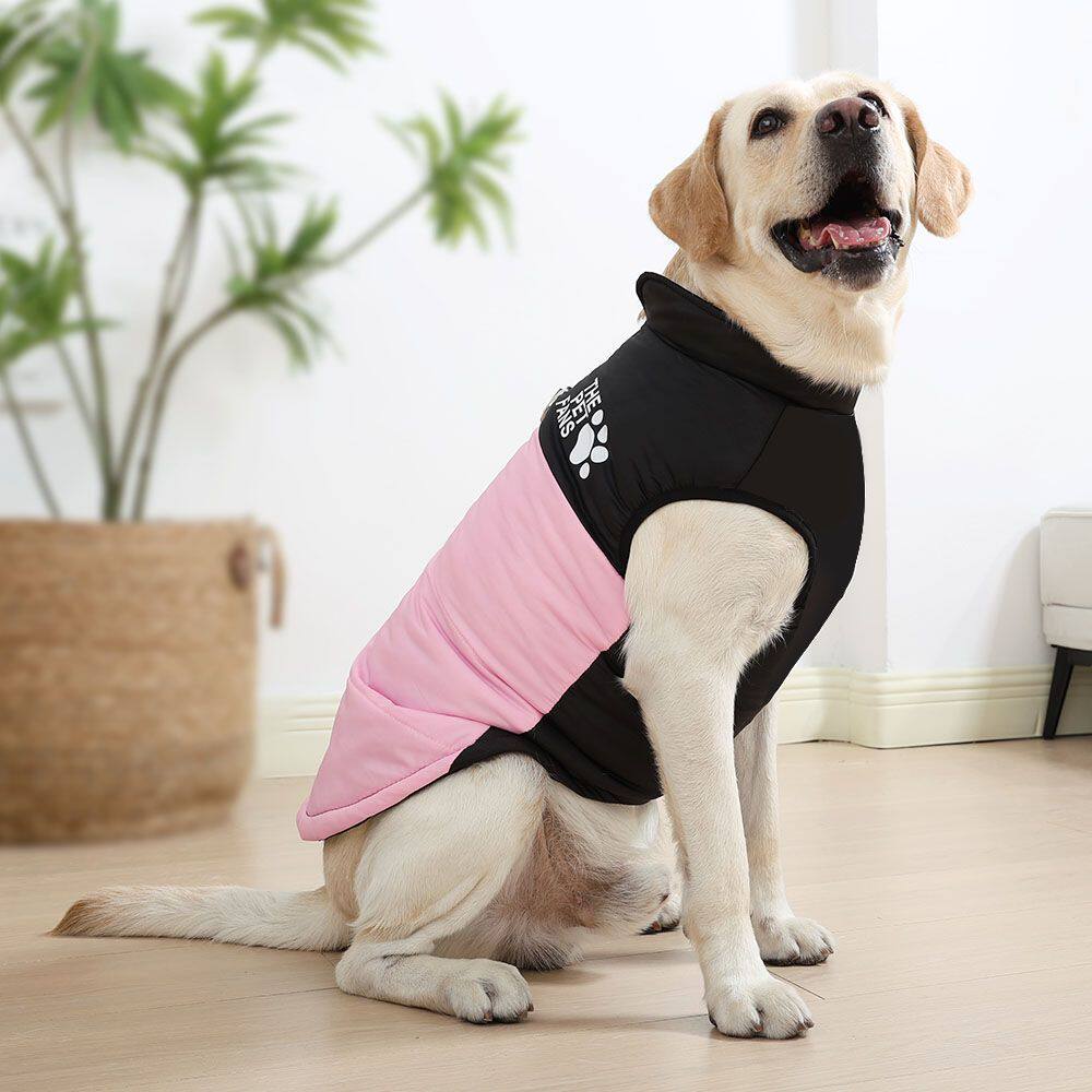 Veste de coton résistant au vent et au froid