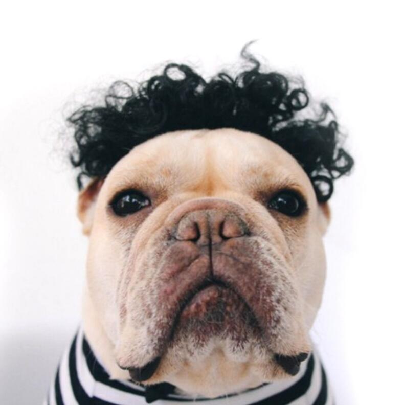 Créative Pet simple Funny Wig Headgear