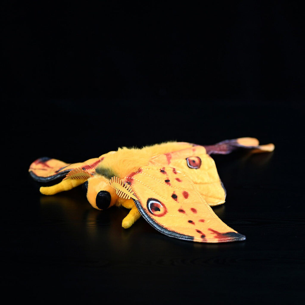 Série Insect Comet Tail Jouet en peluche de vers à soie