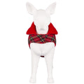 Tissus de chien épaississants en coton chaud Manteau de plie rouge