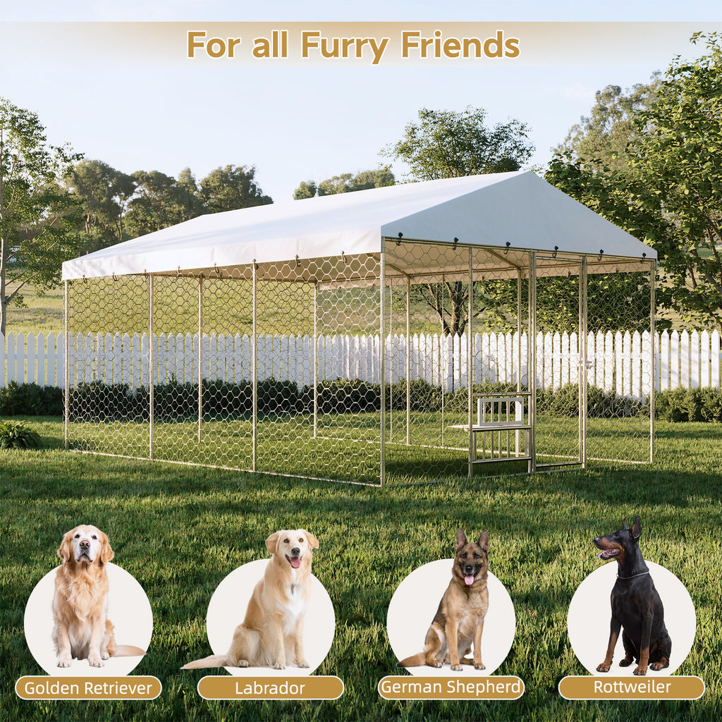 15x10 FT Grand Kennel de chien extérieur avec Canopy