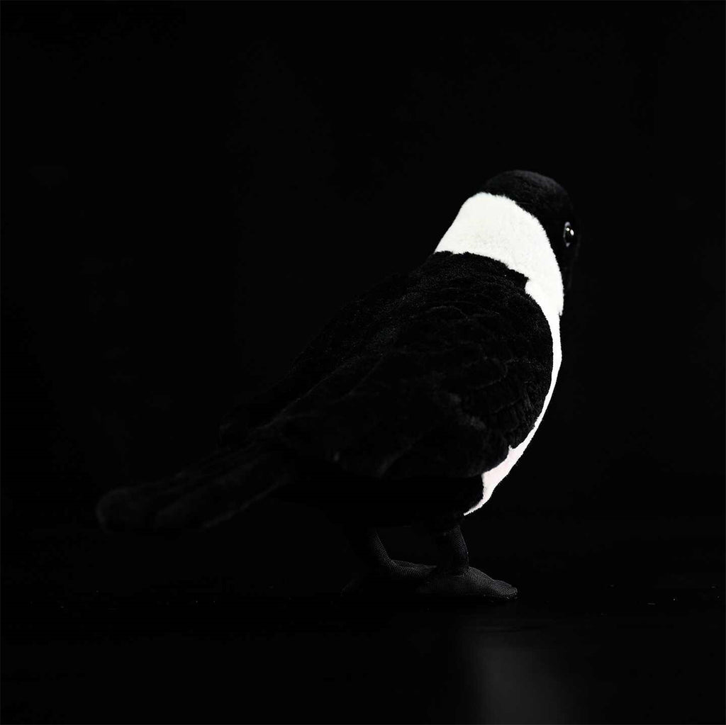 Da Wu Li Western Jouet en peluche Jackdaw