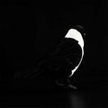Da Wu Li Western Jouet en peluche Jackdaw