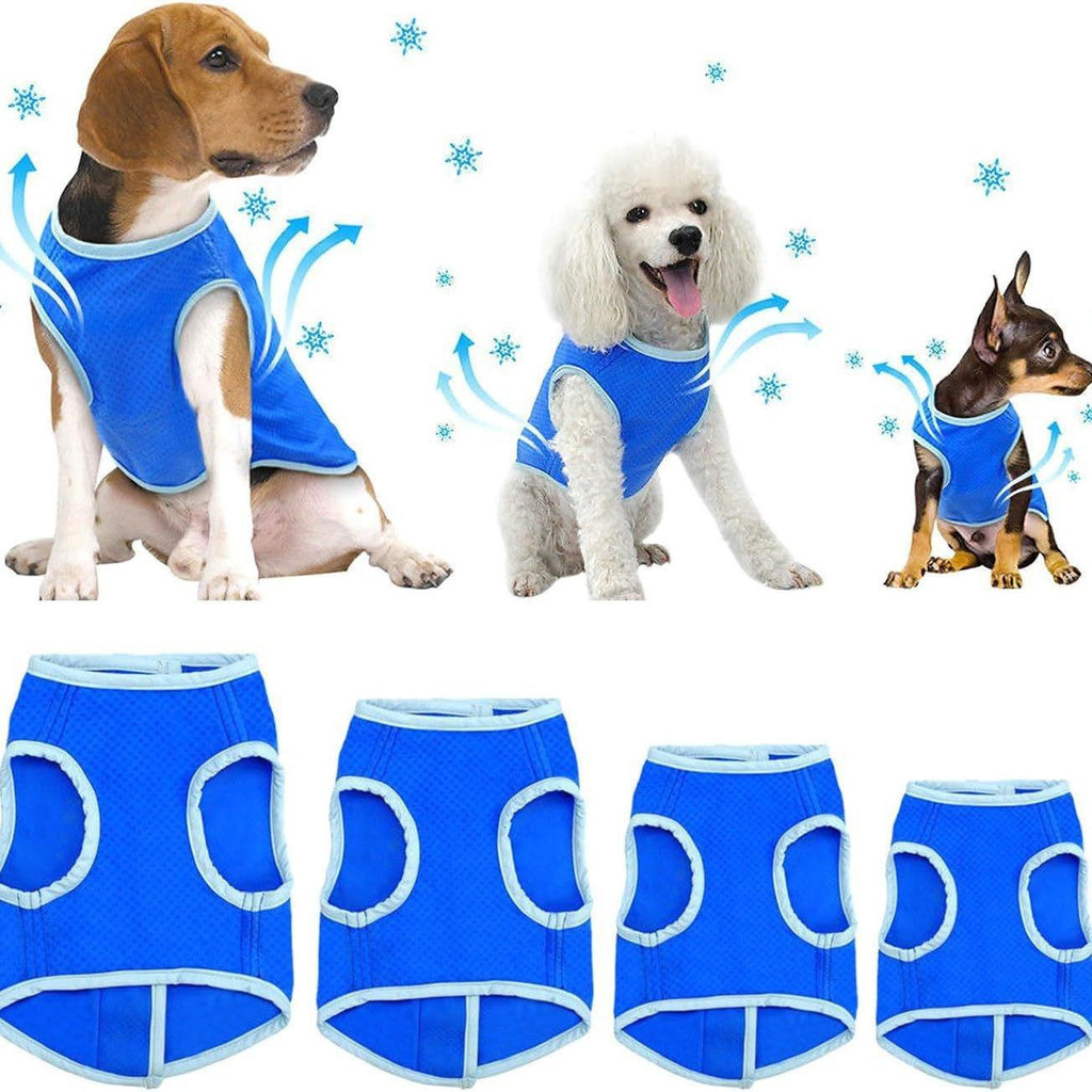 Veste de refroidissement d'été pour chien absorbant la sueur