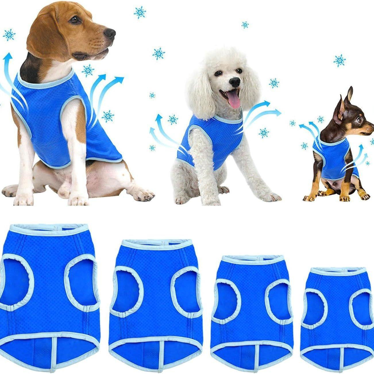 Veste de refroidissement d'été pour chien absorbant la sueur