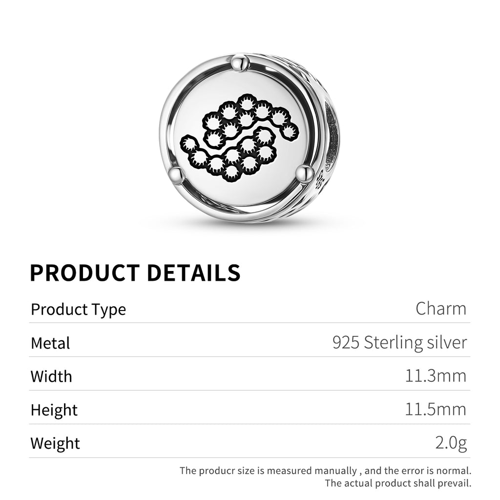 925 Fleurs Argent Sterling Goldenrod Charms Pour Bracelets & Colliers Pendentifs Perles Juive