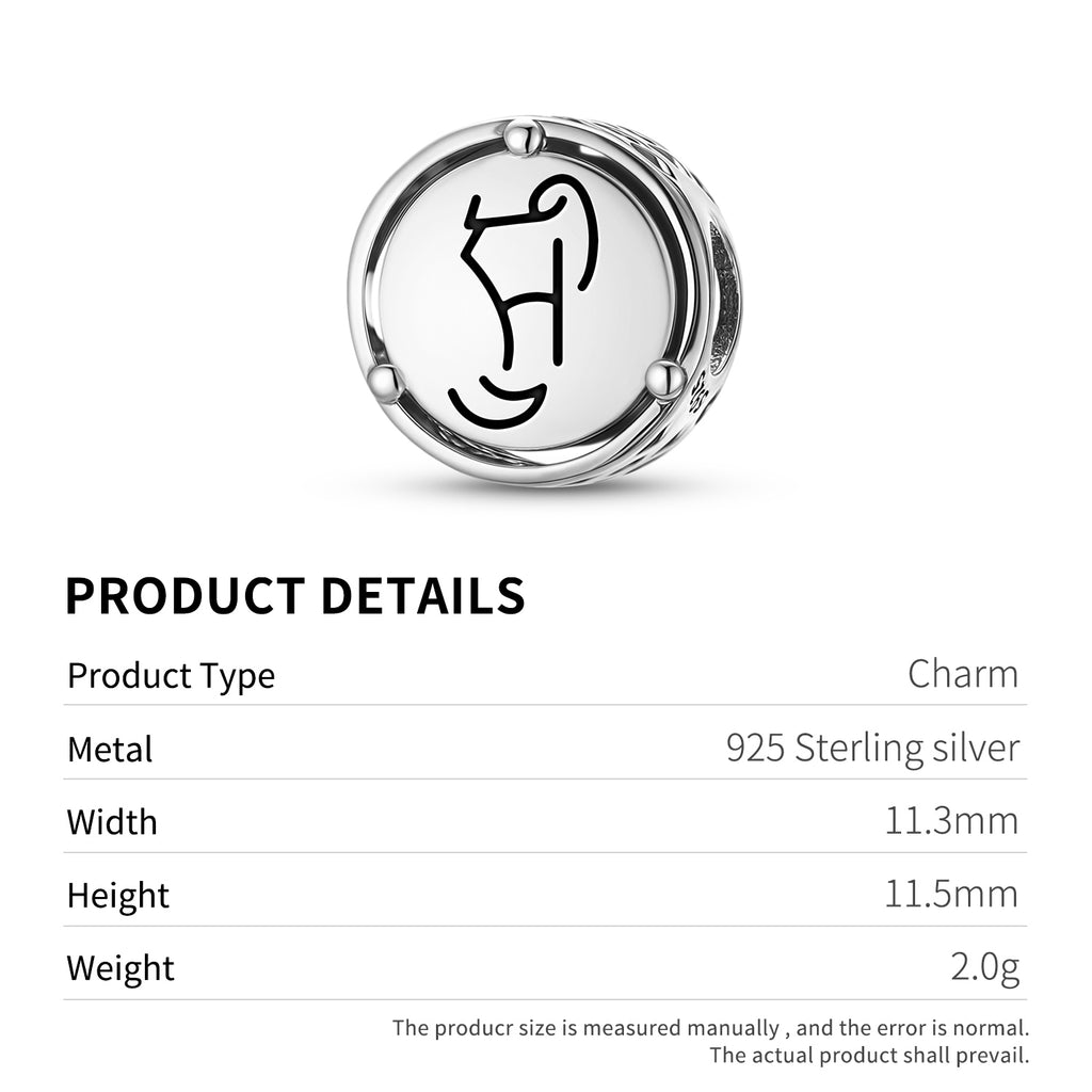 925 Argent Sterling Reiki ZEN KAI JO Charms Pour Bracelets et Colliers Pendentifs Perles Jewel