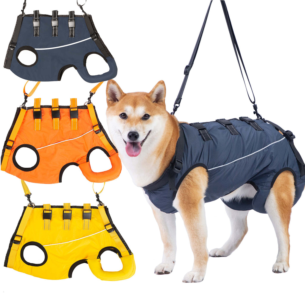 Clothing for senior dogs