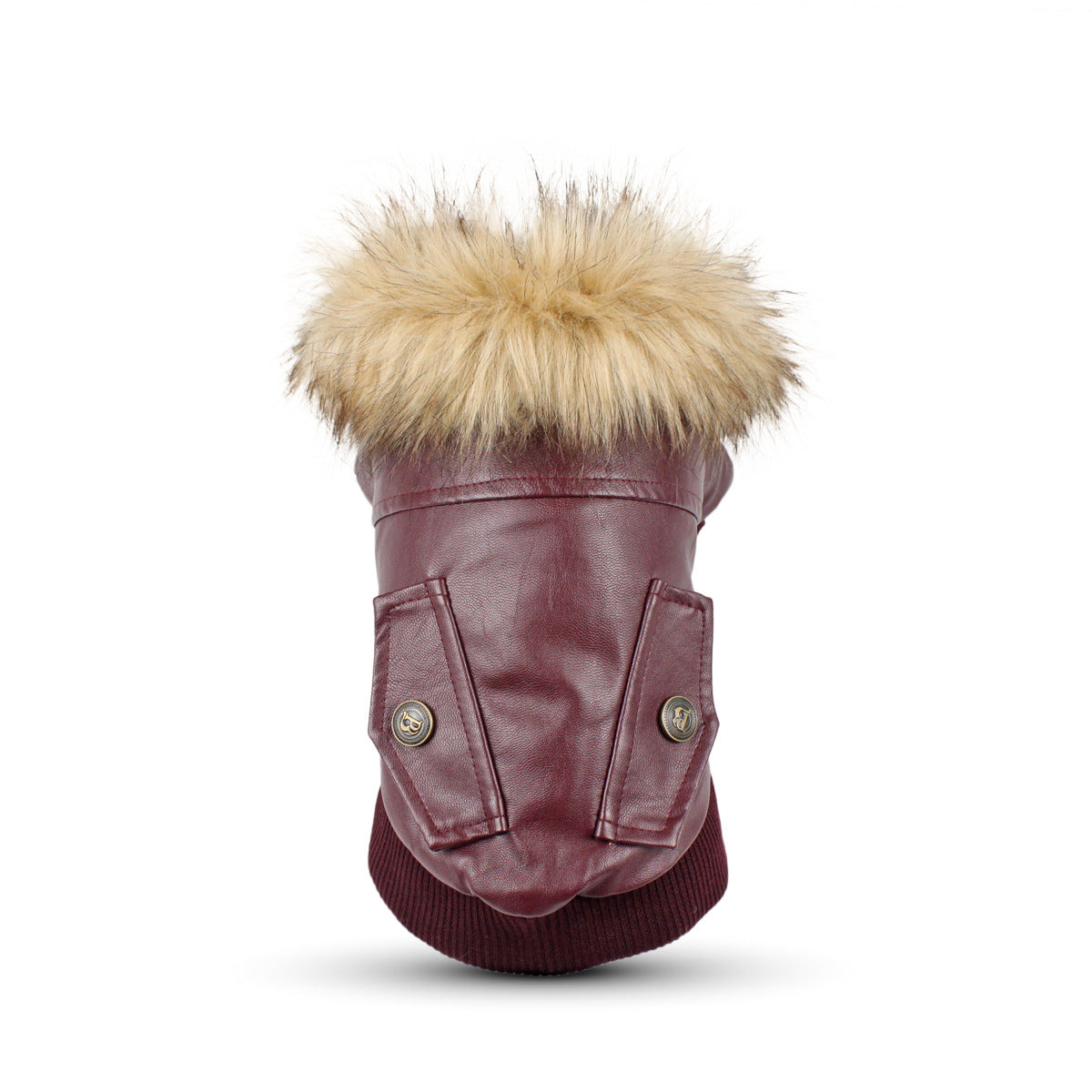 Manteau de cuir en cuir d'automne et d'hiver