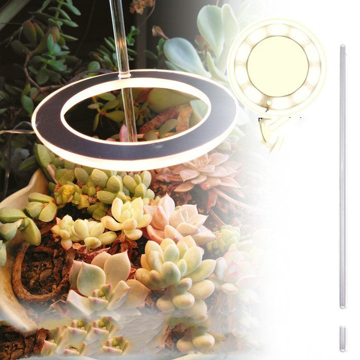 Full-spectrum LED imitant soleil coloration plante lampe de remplissage succulente