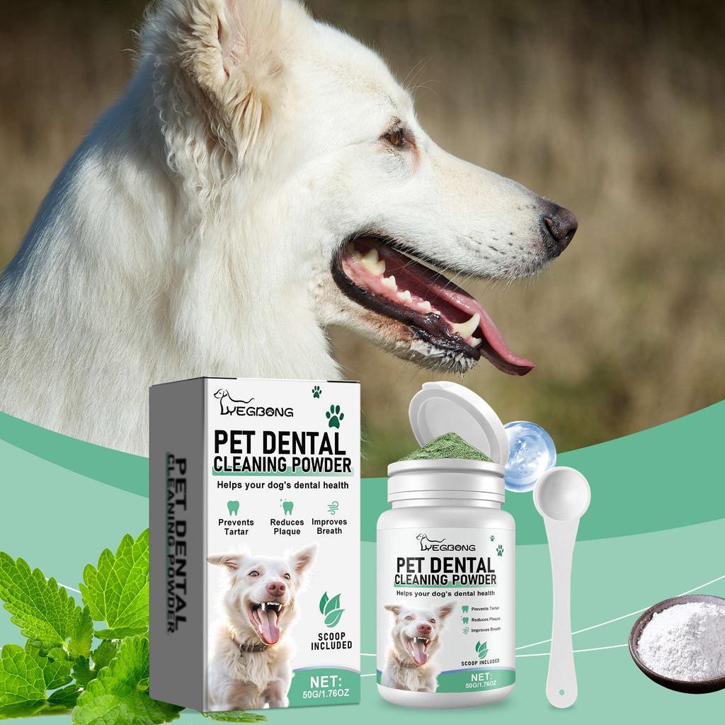 Poudre de nettoyage de dents de chien