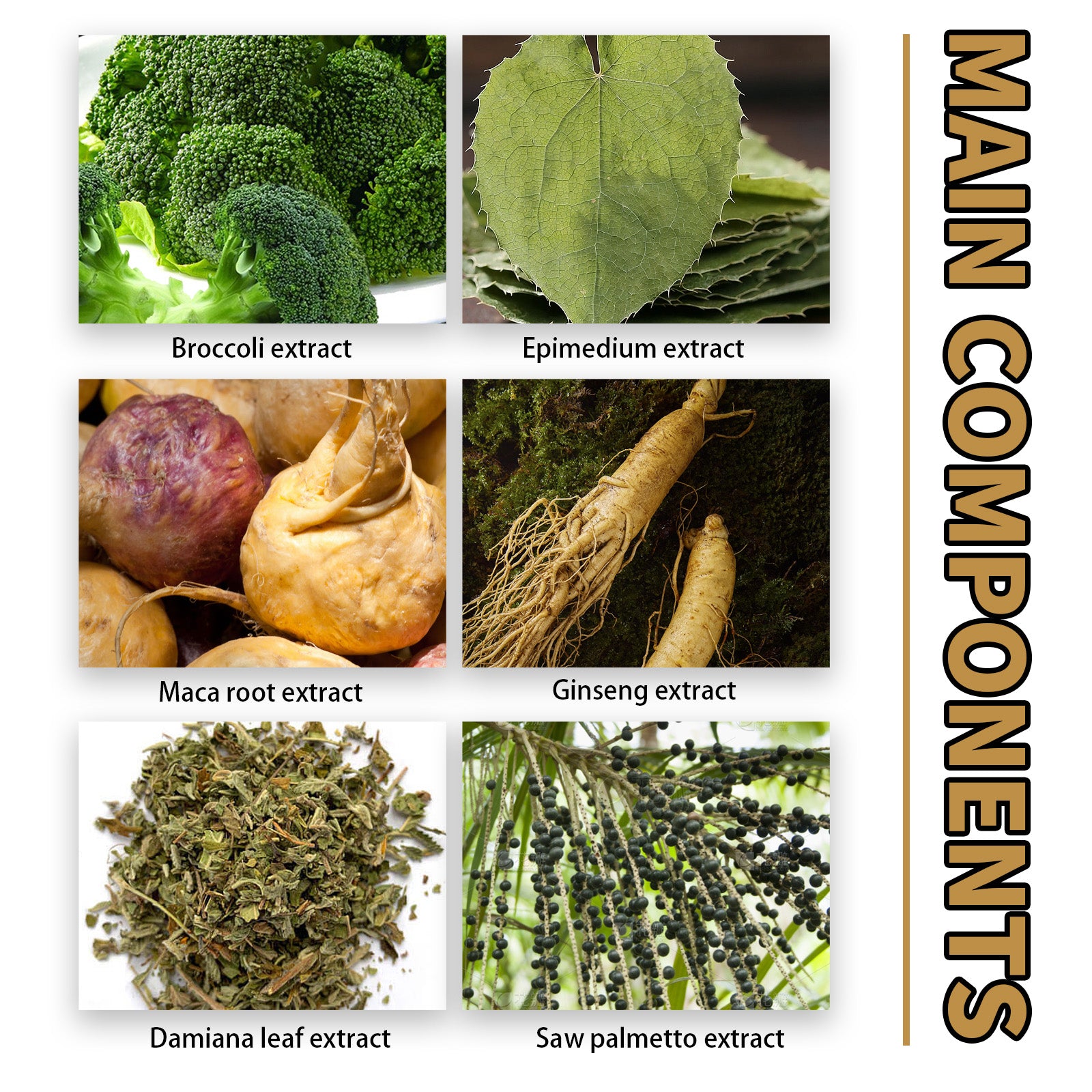 Hommes Vitalité naturelle Soutien gouttes