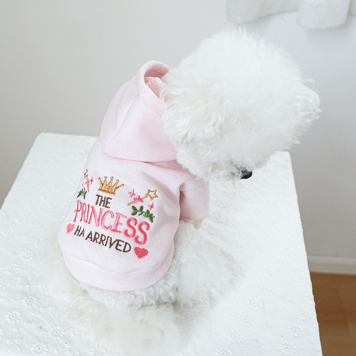 Vêtements pour animaux de compagnie Vêtements de chat à capuche Petite princesse