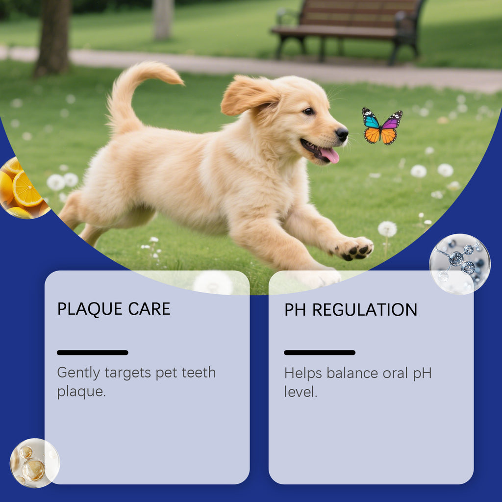 Poudre de nettoyage des dents des animaux de compagnie