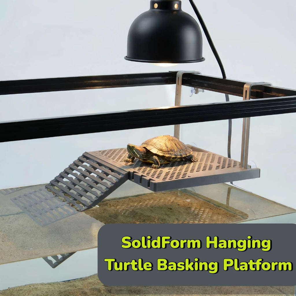 Plate-forme de mise bas de tortue suspendue avec plateau alimentaire intégré