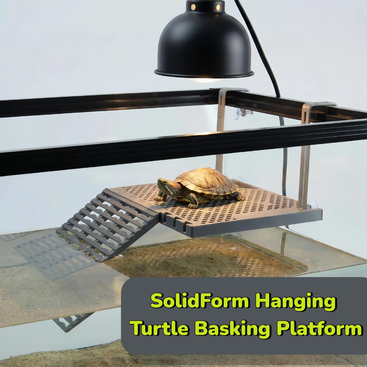 Plate-forme de mise bas de tortue suspendue avec plateau alimentaire intégré